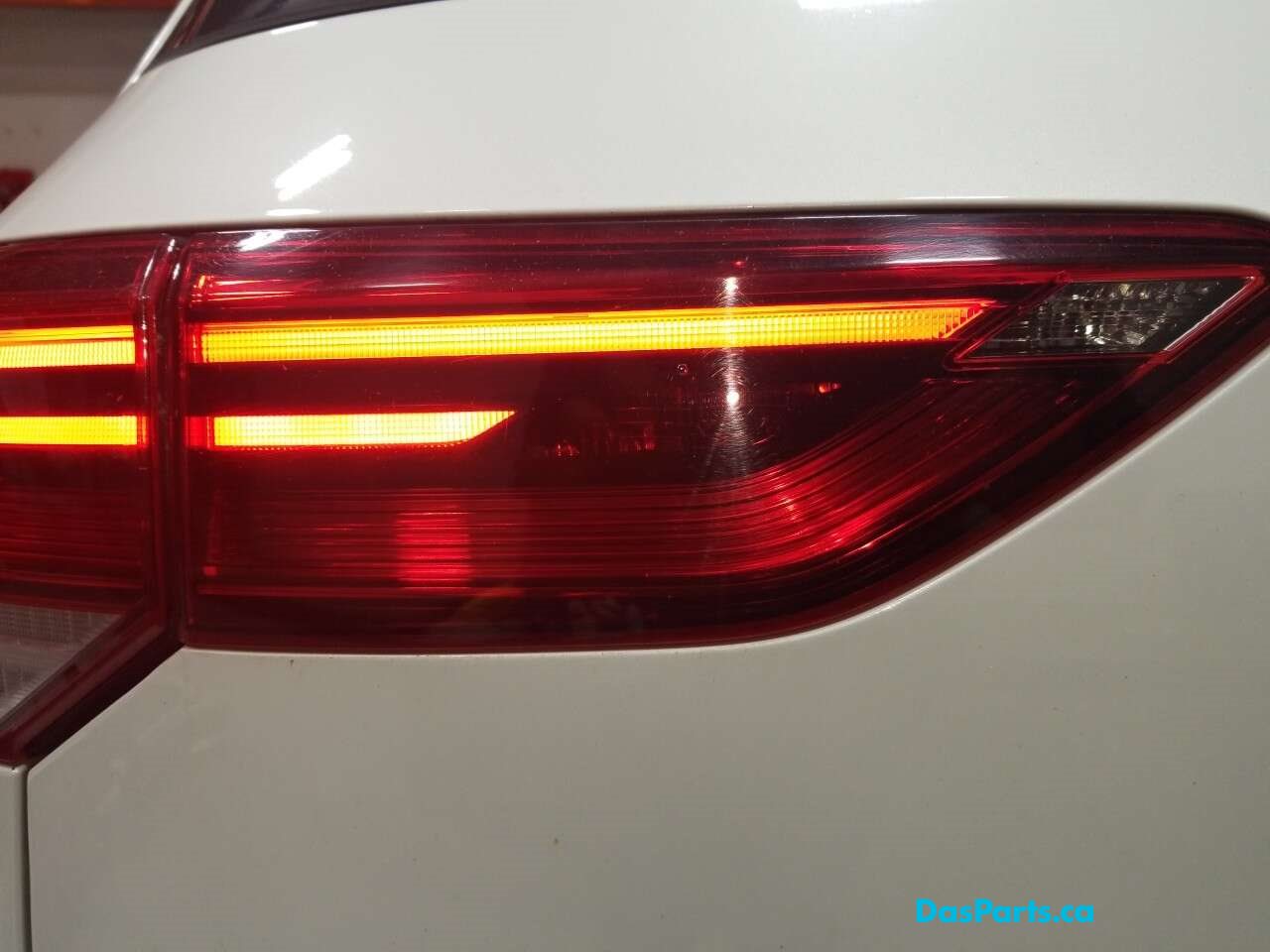 Taillight Inner LR