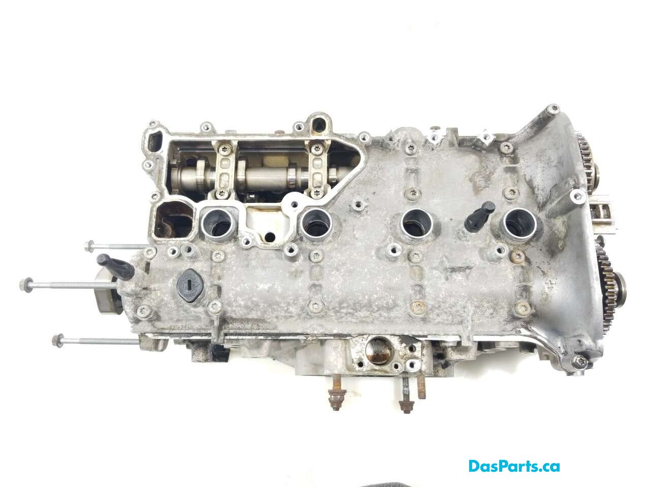 Engine Cylinder Head