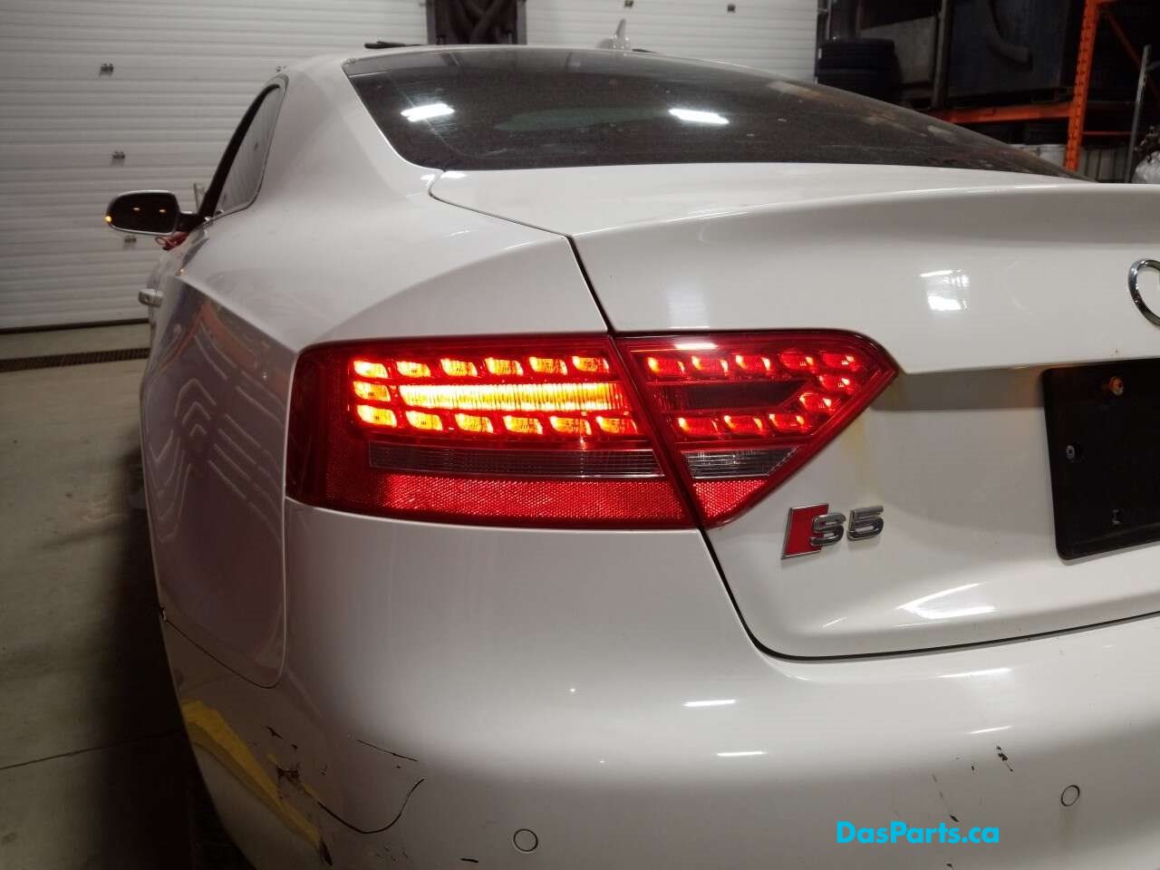 Taillight Inner LR