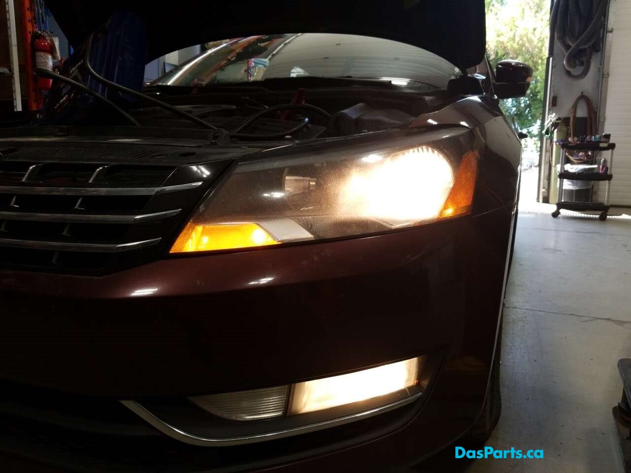 Fog Light L