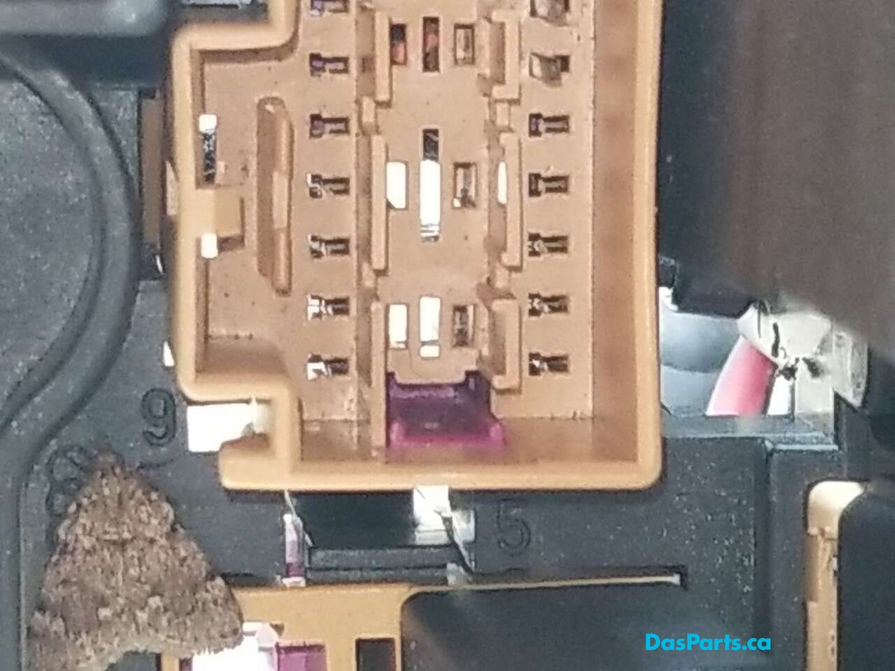 Main Engine Harness