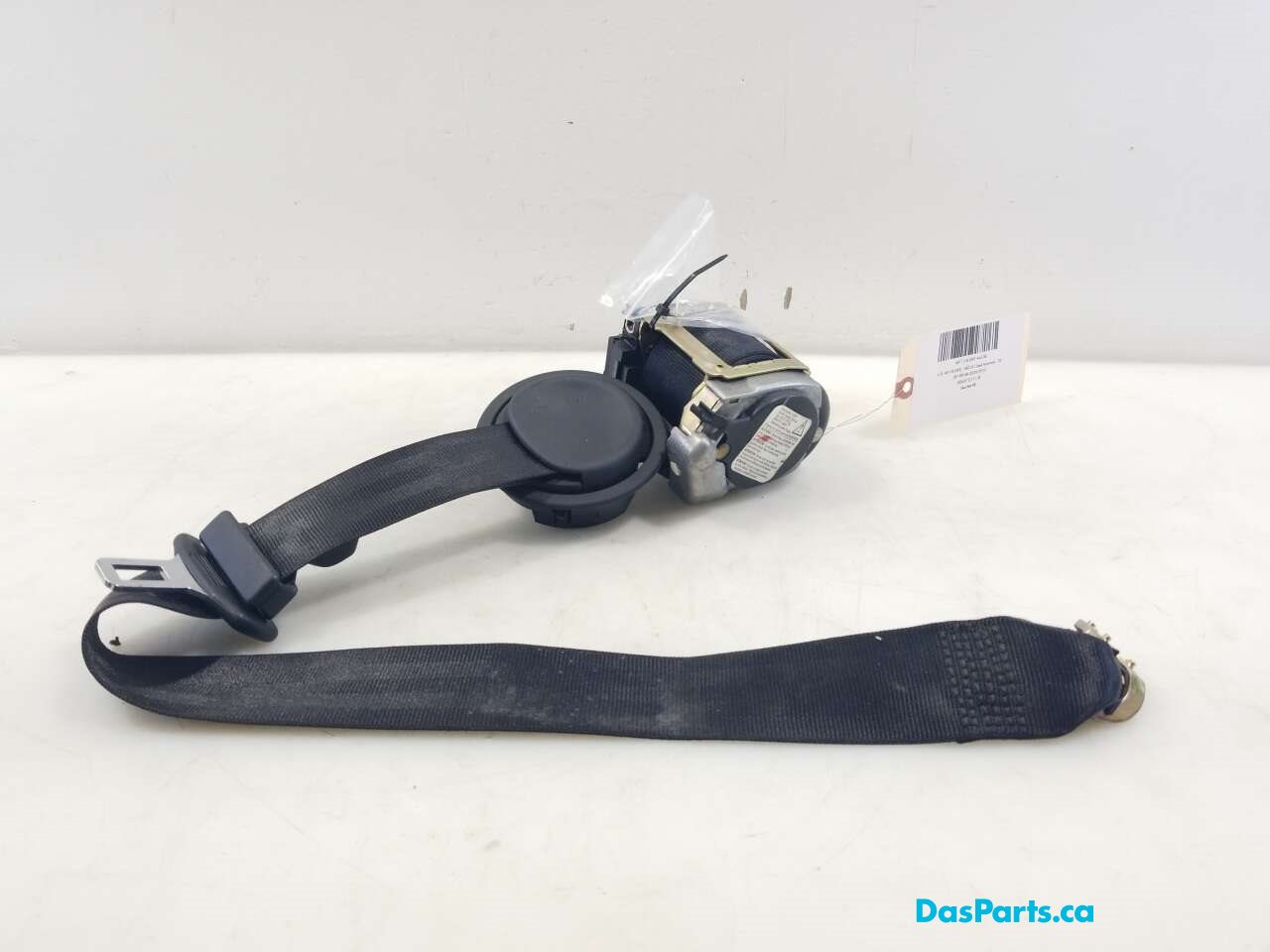 Seat Belt RR