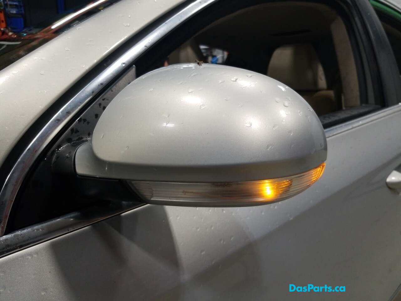 Side Mirror L