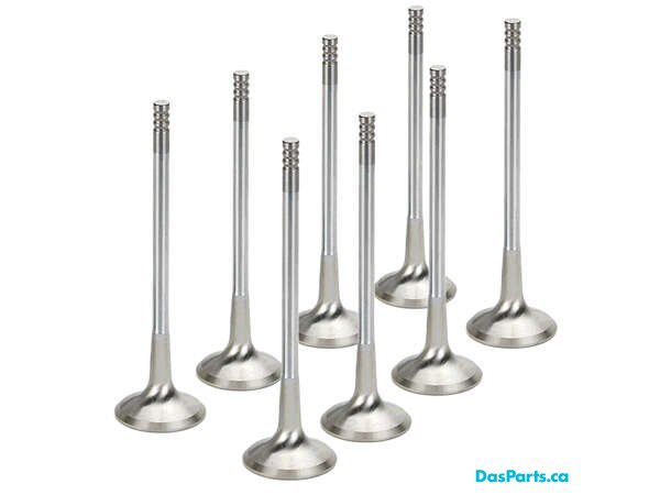 Exhaust Valve