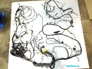 Body Harness 2