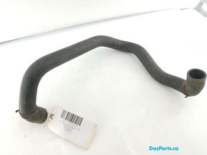 Lower Rad Hose