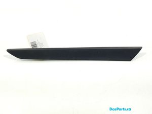 Door Trim LR