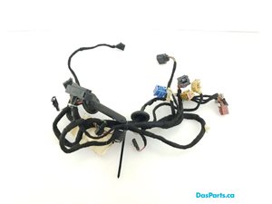 Door Harness LF 1
