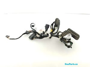 Door Harness LR 1