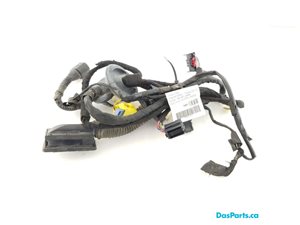 Door Harness RF 1