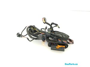 Door Harness LF 1