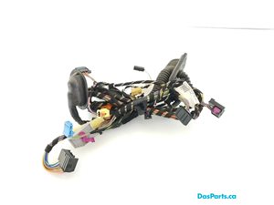 Door Harness RF 1