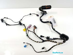 Door Harness RF 1