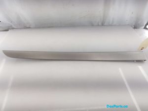 Door Trim LR