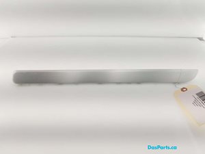 Dash Trim 3