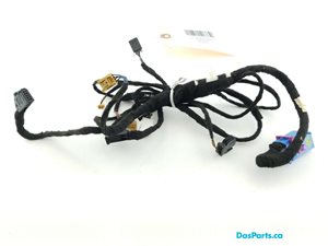 Door Harness LF 2