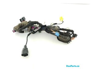 Door Harness LF 1