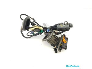 Door Harness LR 1