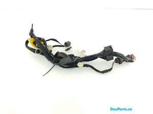 Door Harness RR 1