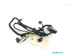 Door Harness RR 1
