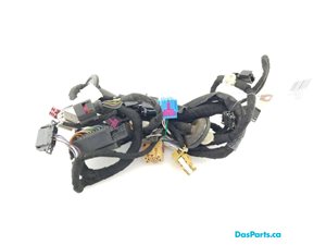 Door Harness LF 1