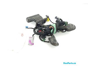 Door Harness RF 1