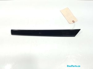 Door Trim LF