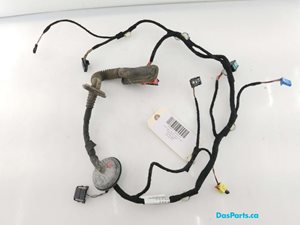 Door Harness LF 1