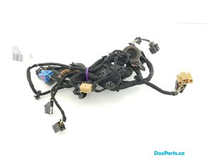 Door Harness LF 1