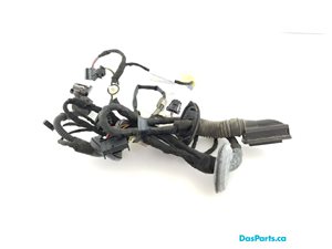 Door Harness LF 1