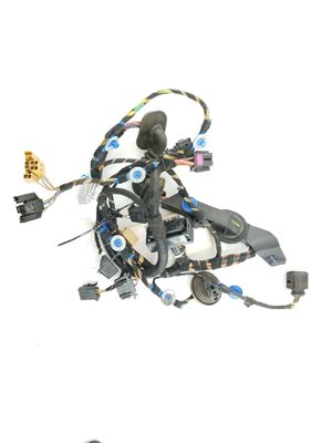 Door Harness LF 1