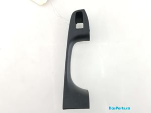 Door Trim RF
