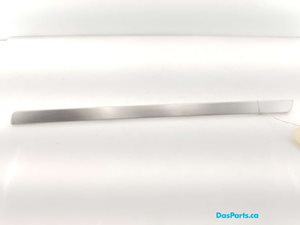 Dash Trim 1