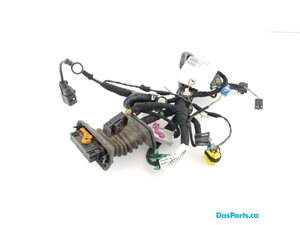 Door Harness RF 1