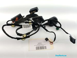 Door Harness LR 1