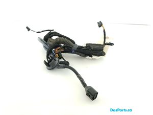 Door Harness LR 1
