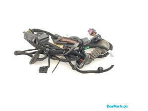 Door Harness RF 1