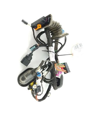 Door Harness LF 1