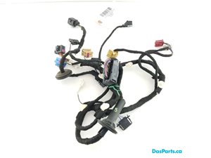 Door Harness LF 1
