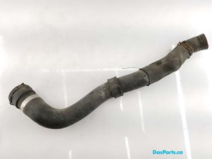 Lower Rad Hose