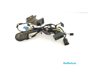 Door Harness LR 1