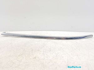 Bumper Trim LF