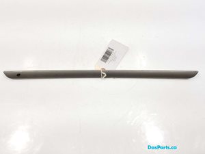 Door Trim LF