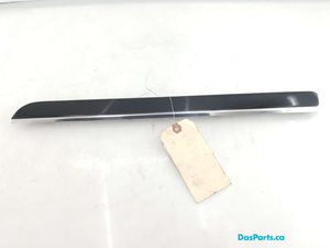 Dash Trim 1