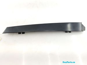 Door Applique LR Rearward