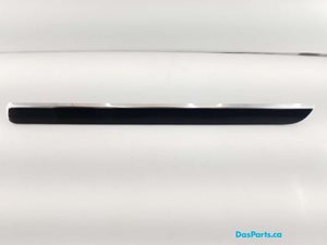Dash Trim 1