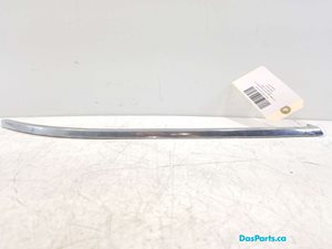 Bumper Trim FR
