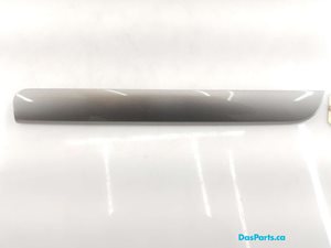 Dash Trim 1