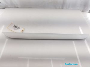 Door Trim RF