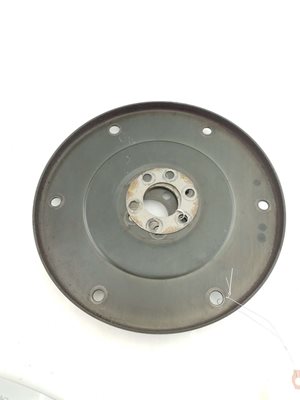 Flex Plate